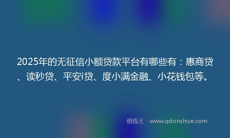 2025年的无征信小额贷款平台有哪些有：惠商贷、读秒贷、平安i贷、度小满金融、小花钱包等。