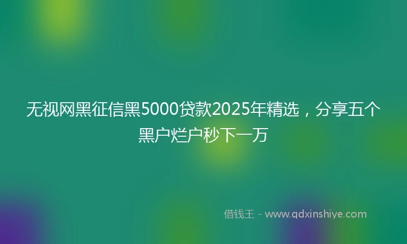 无视网黑征信黑5000贷款2025年精选，分享五个黑户烂户秒下一万