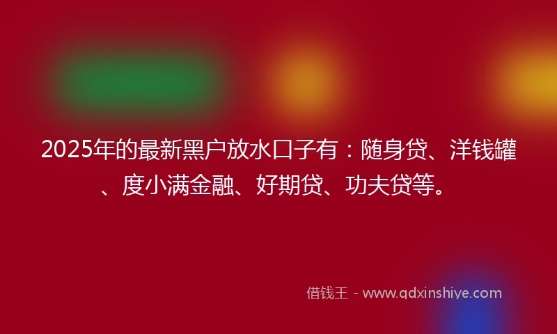 2025年的最新黑户放水口子有：随身贷、洋钱罐、度小满金融、好期贷、功夫贷等。