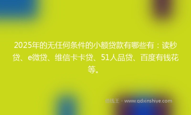 2025年的无任何条件的小额贷款有哪些有：读秒贷、e微贷、维信卡卡贷、51人品贷、百度有钱花等。