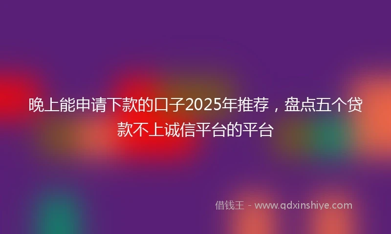 晚上能申请下款的口子2025年推荐，盘点五个贷款不上诚信平台的平台