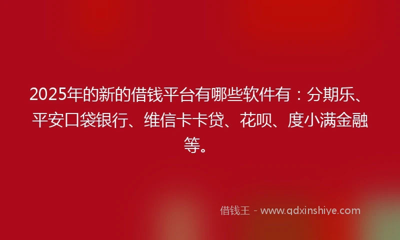 2025年的新的借钱平台有哪些软件有：分期乐、平安口袋银行、维信卡卡贷、花呗、度小满金融等。