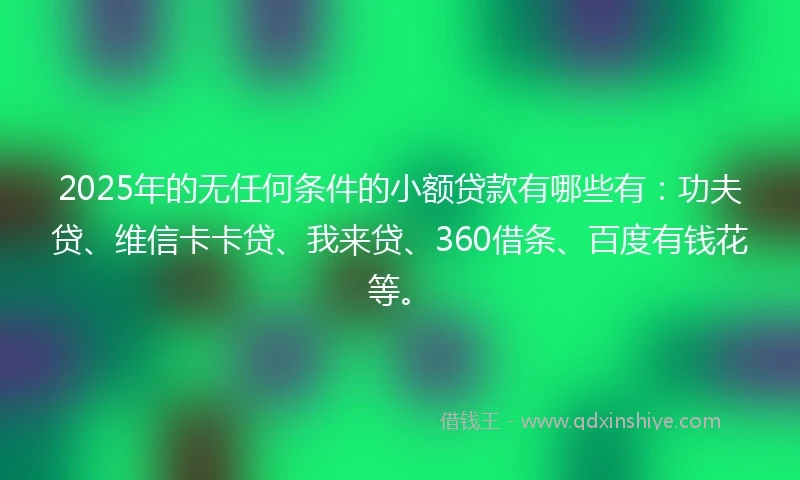 2025年的无任何条件的小额贷款有哪些有：功夫贷、维信卡卡贷、我来贷、360借条、百度有钱花等。