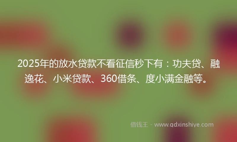 2025年的放水贷款不看征信秒下有：功夫贷、融逸花、小米贷款、360借条、度小满金融等。