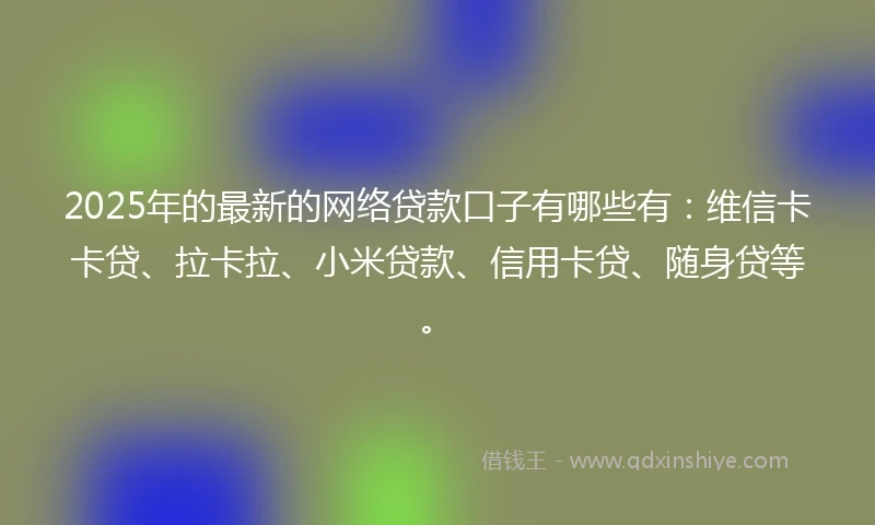 2025年的最新的网络贷款口子有哪些有：维信卡卡贷、拉卡拉、小米贷款、信用卡贷、随身贷等。
