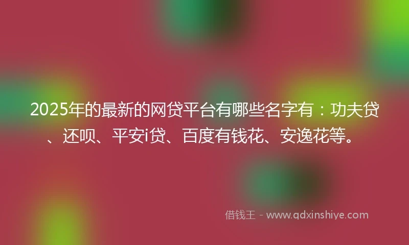 2025年的最新的网贷平台有哪些名字有：功夫贷、还呗、平安i贷、百度有钱花、安逸花等。