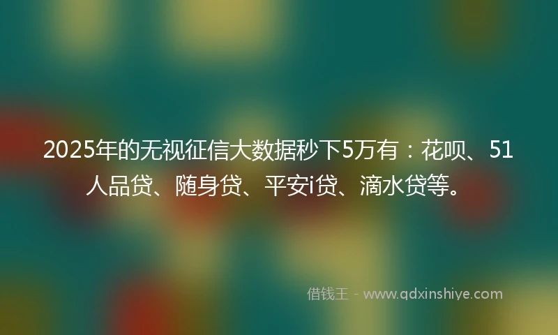 2025年的无视征信大数据秒下5万有：花呗、51人品贷、随身贷、平安i贷、滴水贷等。