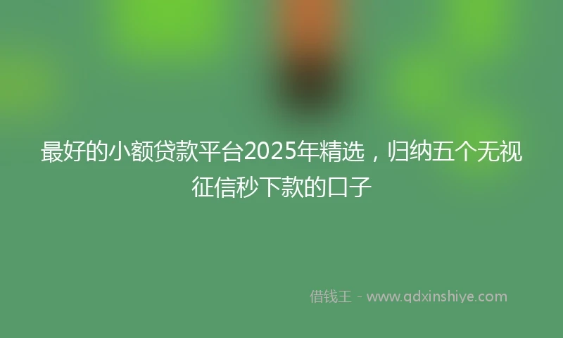 最好的小额贷款平台2025年精选，归纳五个无视征信秒下款的口子