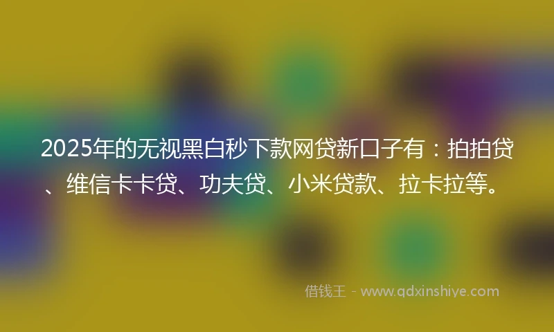 2025年的无视黑白秒下款网贷新口子有：拍拍贷、维信卡卡贷、功夫贷、小米贷款、拉卡拉等。