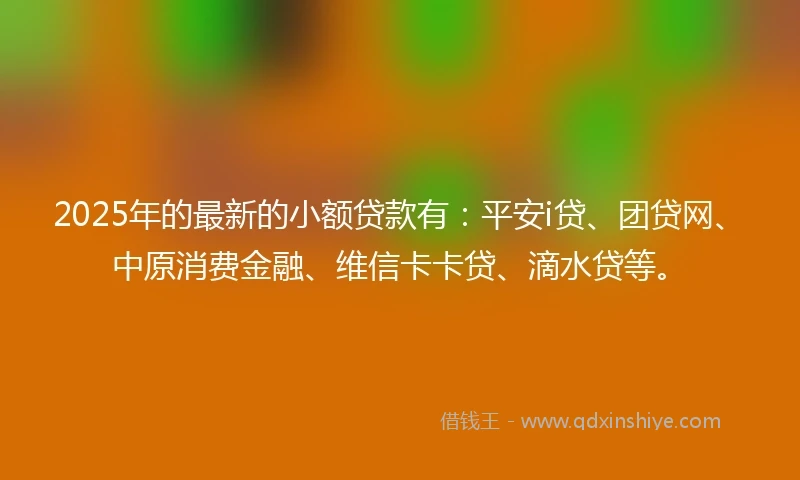 2025年的最新的小额贷款有：平安i贷、团贷网、中原消费金融、维信卡卡贷、滴水贷等。