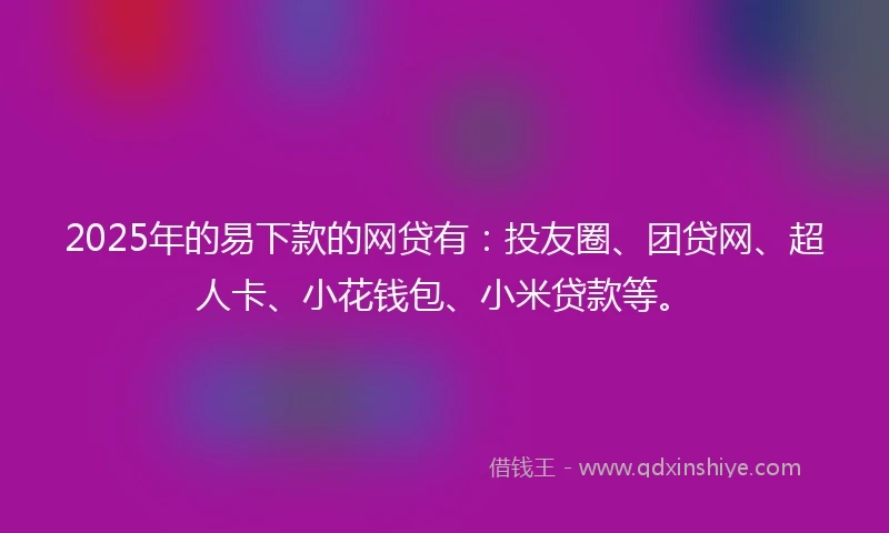 2025年的易下款的网贷有：投友圈、团贷网、超人卡、小花钱包、小米贷款等。