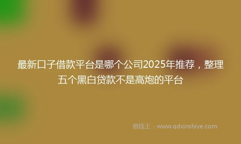 最新口子借款平台是哪个公司2025年推荐，整理五个黑白贷款不是高炮的平台