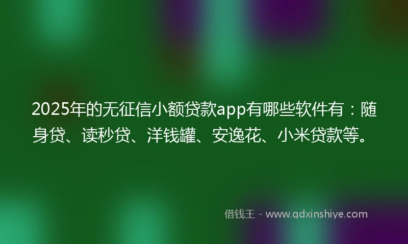 2025年的无征信小额贷款app有哪些软件有：随身贷、读秒贷、洋钱罐、安逸花、小米贷款等。