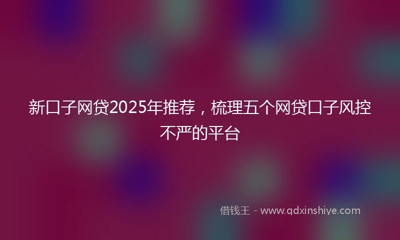 新口子网贷2025年推荐，梳理五个网贷口子风控不严的平台