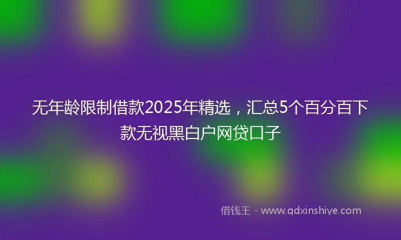 无年龄限制借款2025年精选，汇总5个百分百下款无视黑白户网贷口子
