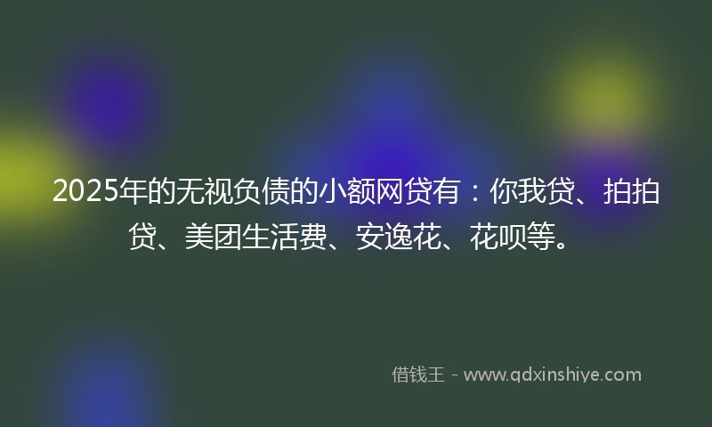 2025年的无视负债的小额网贷有：你我贷、拍拍贷、美团生活费、安逸花、花呗等。