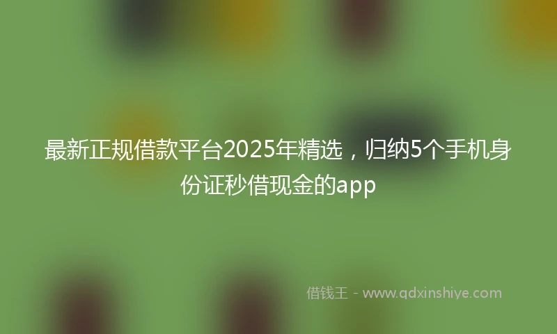 最新正规借款平台2025年精选，归纳5个手机身份证秒借现金的app