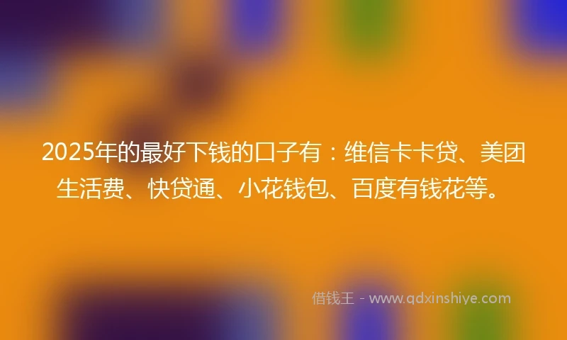 2025年的最好下钱的口子有：维信卡卡贷、美团生活费、快贷通、小花钱包、百度有钱花等。