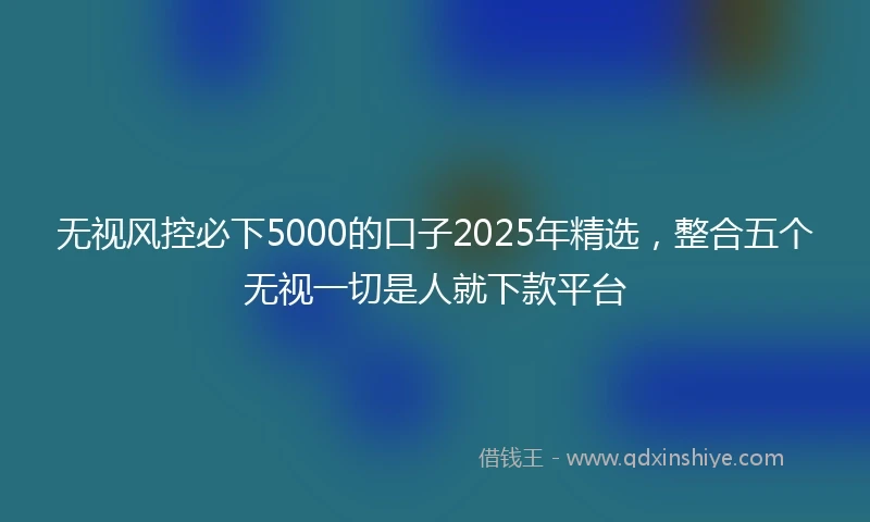 无视风控必下5000的口子2025年精选，整合五个无视一切是人就下款平台