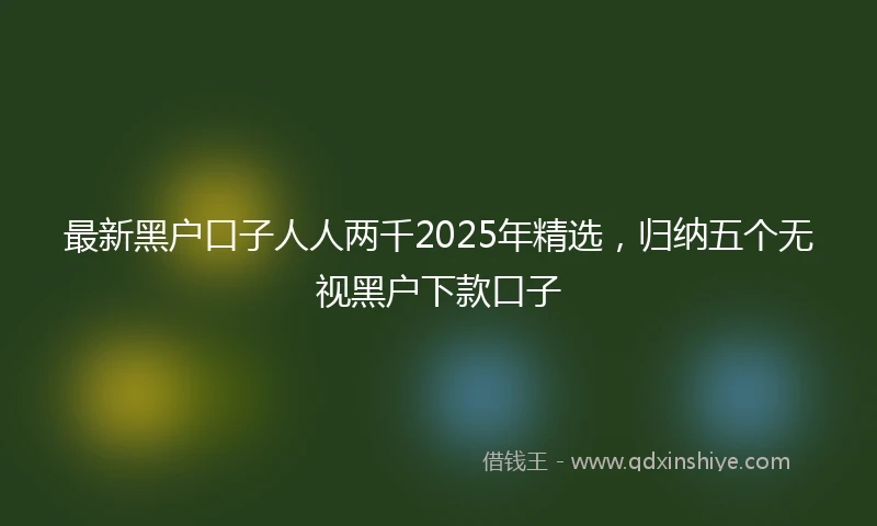 最新黑户口子人人两千2025年精选，归纳五个无视黑户下款口子