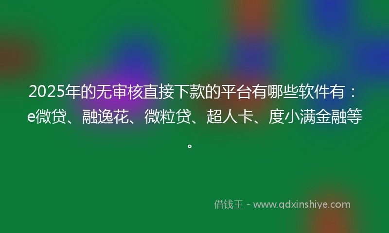 2025年的无审核直接下款的平台有哪些软件有：e微贷、融逸花、微粒贷、超人卡、度小满金融等。