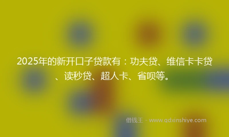2025年的新开口子贷款有：功夫贷、维信卡卡贷、读秒贷、超人卡、省呗等。