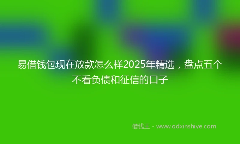 易借钱包现在放款怎么样2025年精选，盘点五个不看负债和征信的口子