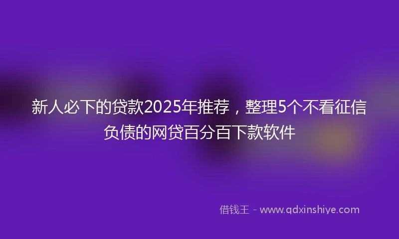 新人必下的贷款2025年推荐，整理5个不看征信负债的网贷百分百下款软件