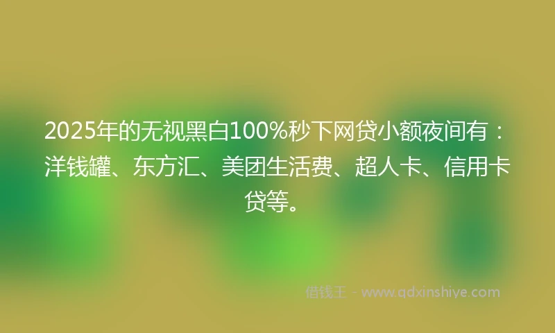 2025年的无视黑白100%秒下网贷小额夜间有：洋钱罐、东方汇、美团生活费、超人卡、信用卡贷等。
