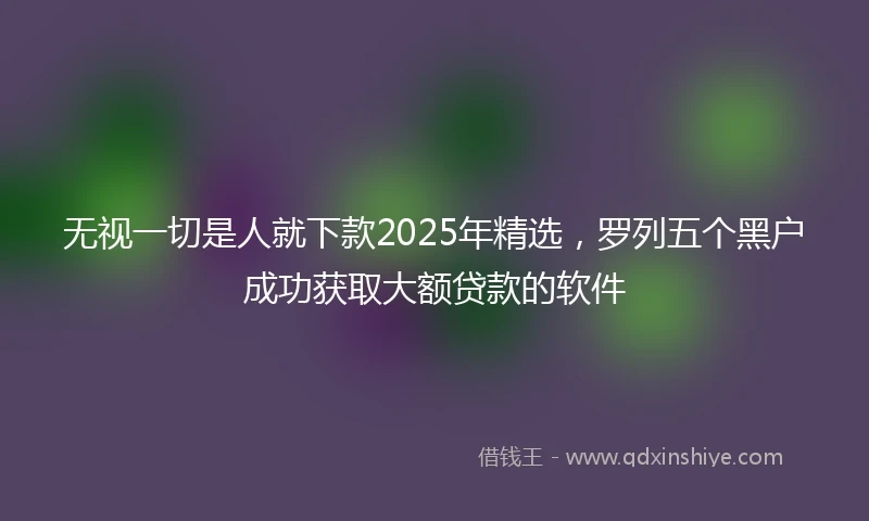 无视一切是人就下款2025年精选，罗列五个黑户成功获取大额贷款的软件