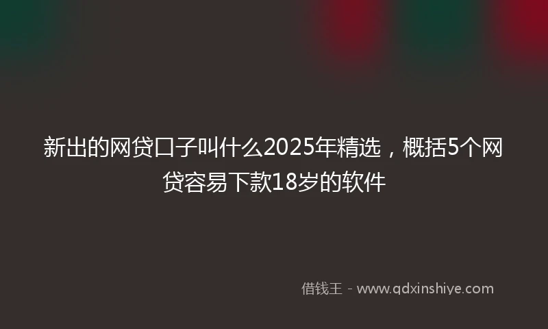 新出的网贷口子叫什么2025年精选，概括5个网贷容易下款18岁的软件