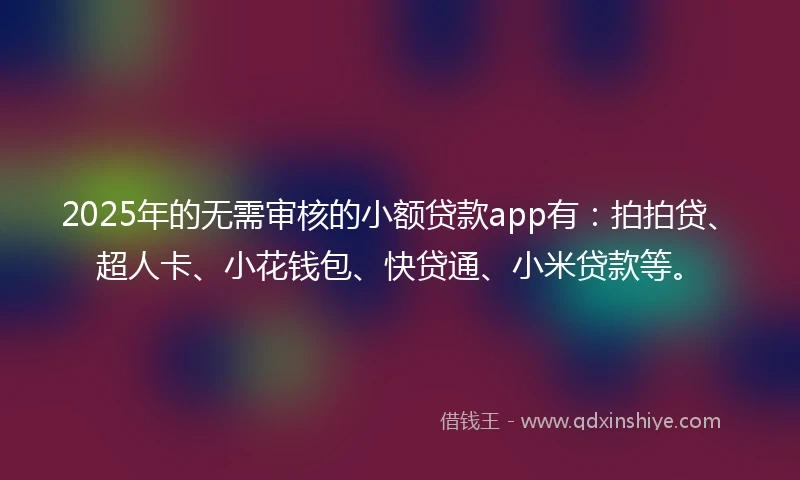 2025年的无需审核的小额贷款app有：拍拍贷、超人卡、小花钱包、快贷通、小米贷款等。