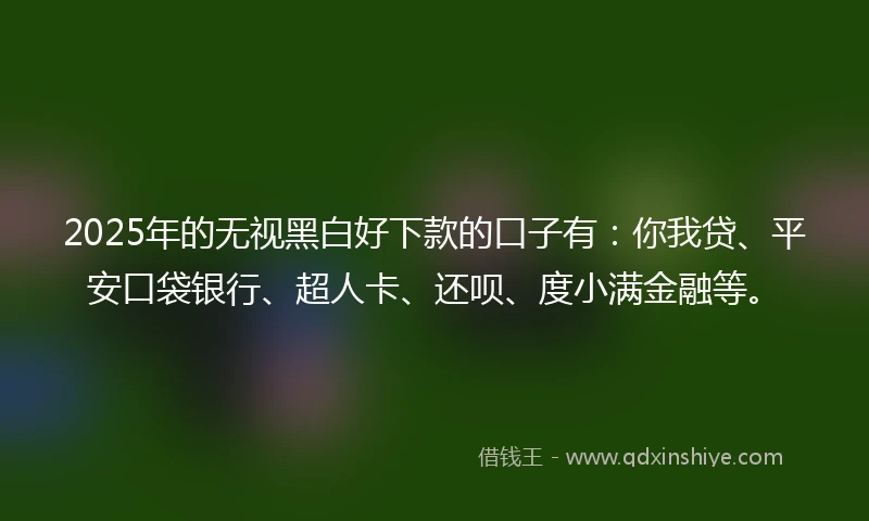 2025年的无视黑白好下款的口子有：你我贷、平安口袋银行、超人卡、还呗、度小满金融等。