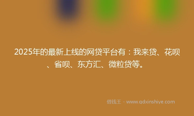 2025年的最新上线的网贷平台有：我来贷、花呗、省呗、东方汇、微粒贷等。