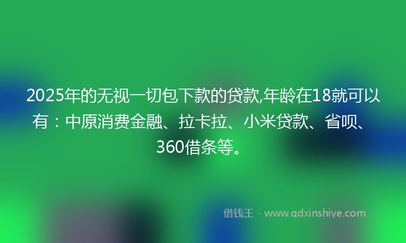 2025年的无视一切包下款的贷款,年龄在18就可以有：中原消费金融、拉卡拉、小米贷款、省呗、360借条等。