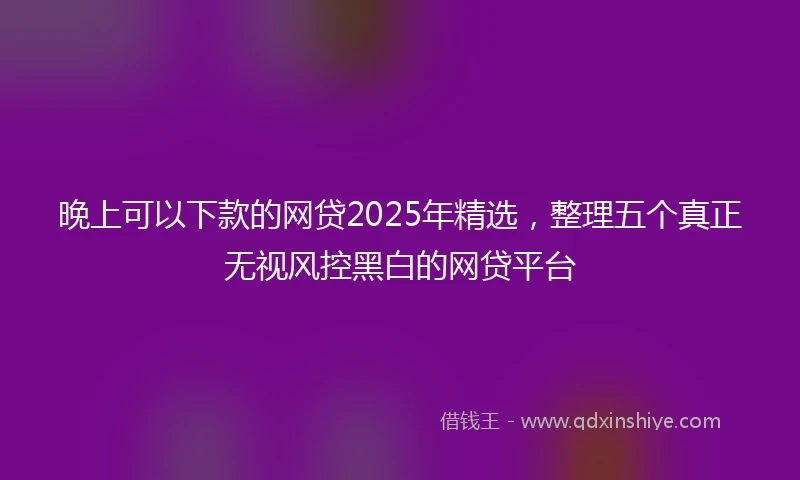 晚上可以下款的网贷2025年精选，整理五个真正无视风控黑白的网贷平台