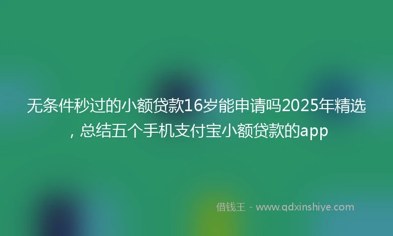 无条件秒过的小额贷款16岁能申请吗2025年精选，总结五个手机支付宝小额贷款的app