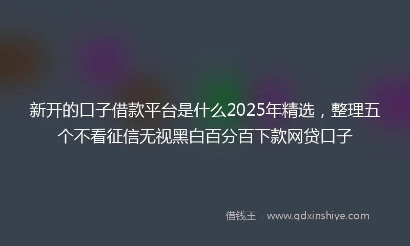 新开的口子借款平台是什么2025年精选，整理五个不看征信无视黑白百分百下款网贷口子
