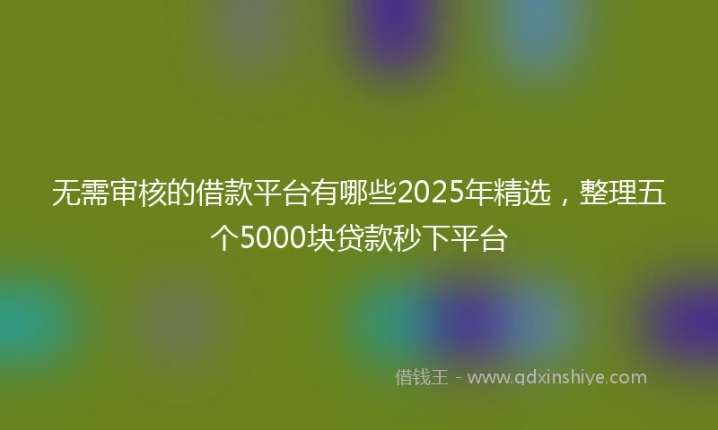 无需审核的借款平台有哪些2025年精选，整理五个5000块贷款秒下平台