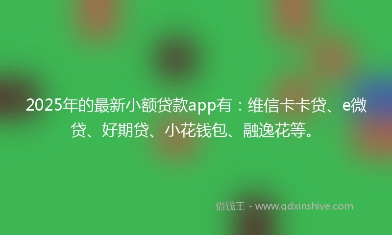 2025年的最新小额贷款app有：维信卡卡贷、e微贷、好期贷、小花钱包、融逸花等。