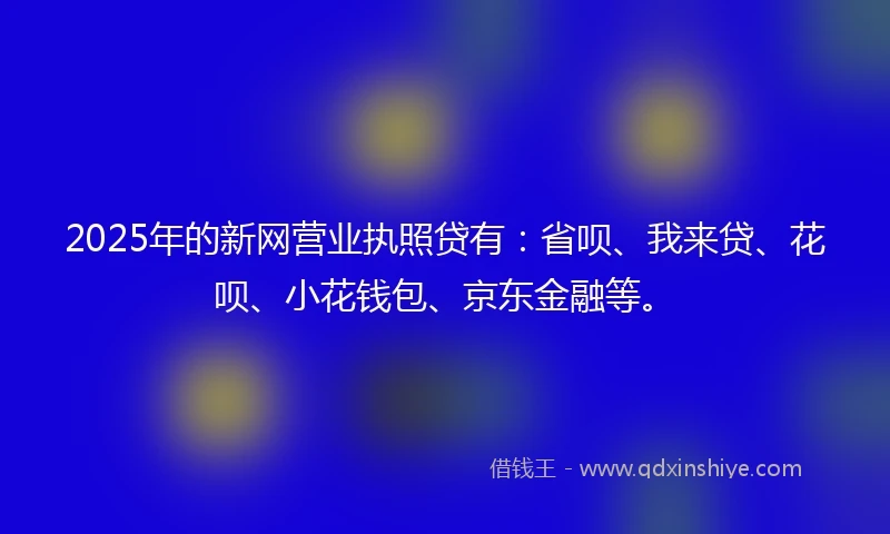 2025年的新网营业执照贷有：省呗、我来贷、花呗、小花钱包、京东金融等。