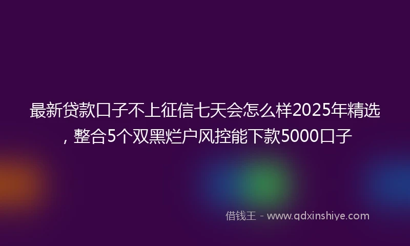 最新贷款口子不上征信七天会怎么样2025年精选，整合5个双黑烂户风控能下款5000口子