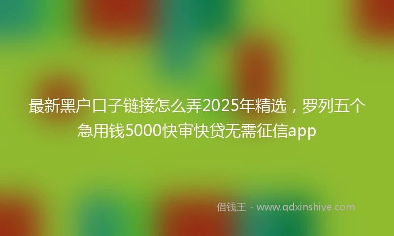 最新黑户口子链接怎么弄2025年精选，罗列五个急用钱5000快审快贷无需征信app