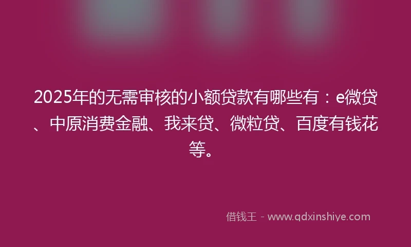2025年的无需审核的小额贷款有哪些有：e微贷、中原消费金融、我来贷、微粒贷、百度有钱花等。