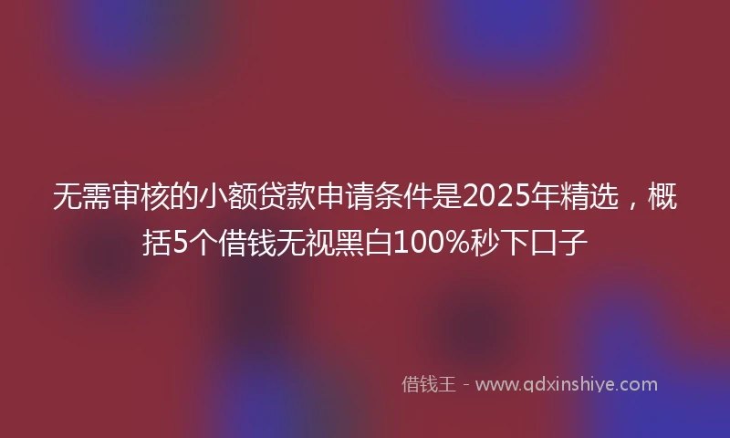 无需审核的小额贷款申请条件是2025年精选，概括5个借钱无视黑白100%秒下口子