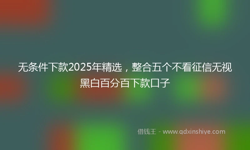 无条件下款2025年精选,整合五个不看征信无视黑白百分百下款口子