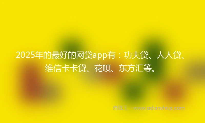 2025年的最好的网贷app有：功夫贷、人人贷、维信卡卡贷、花呗、东方汇等。