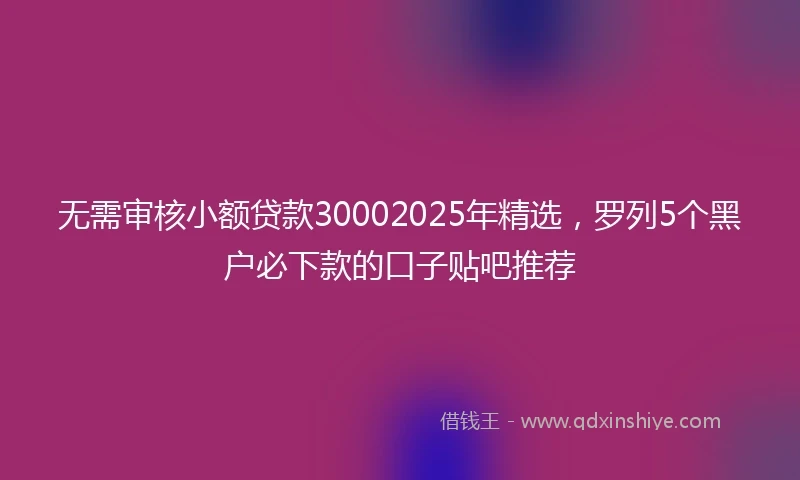 无需审核小额贷款30002025年精选，罗列5个黑户必下款的口子贴吧推荐