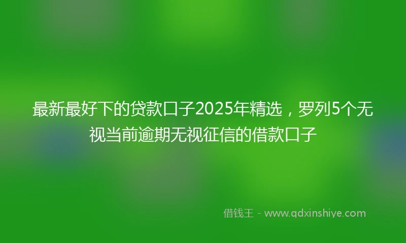 最新最好下的贷款口子2025年精选，罗列5个无视当前逾期无视征信的借款口子