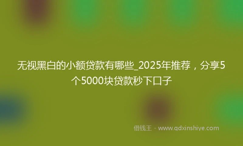 无视黑白的小额贷款有哪些_2025年推荐，分享5个5000块贷款秒下口子